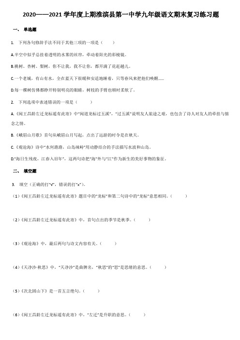 河南省淮滨县第一中学2020——2021学年度第一学期九年级语文期末复习题