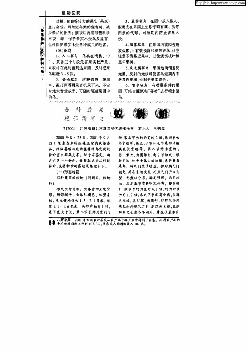 茄科蔬菜根部新害虫蚁粉蚧