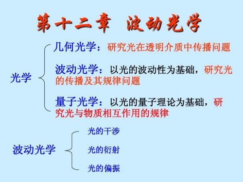 大学物理 第十二章 波动光学2
