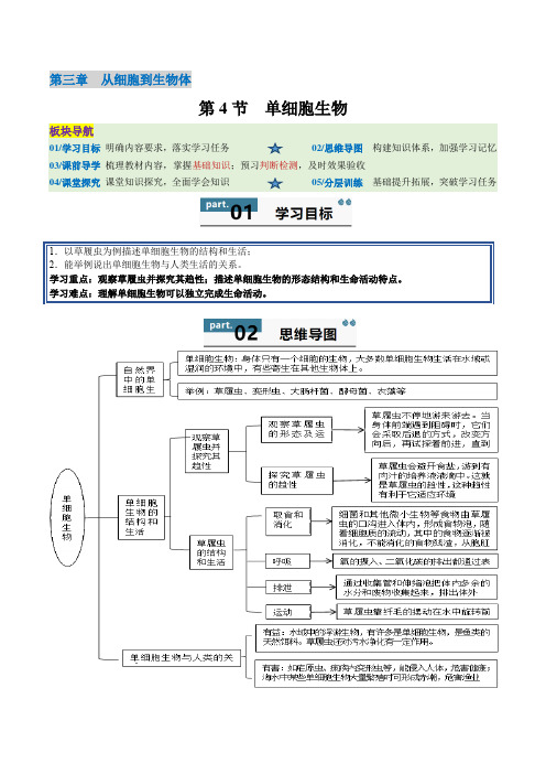 【2024版人教版生物七上同步练习】1.3.4 单细胞生物(解析版)