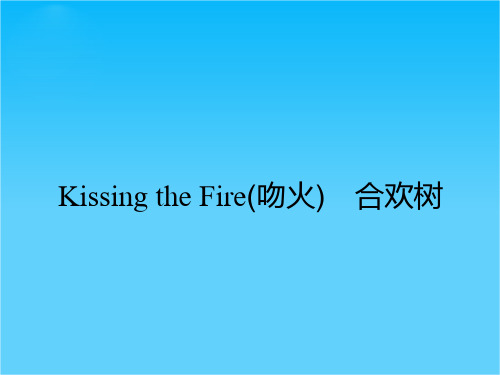 高二语文人教版《中国诗歌散文欣赏》课件Kissing the Fire(吻火) 合欢树