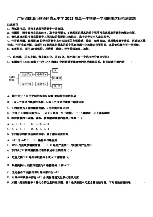 广东省佛山市顺德区青云中学2025届高一生物第一学期期末达标检测试题含解析