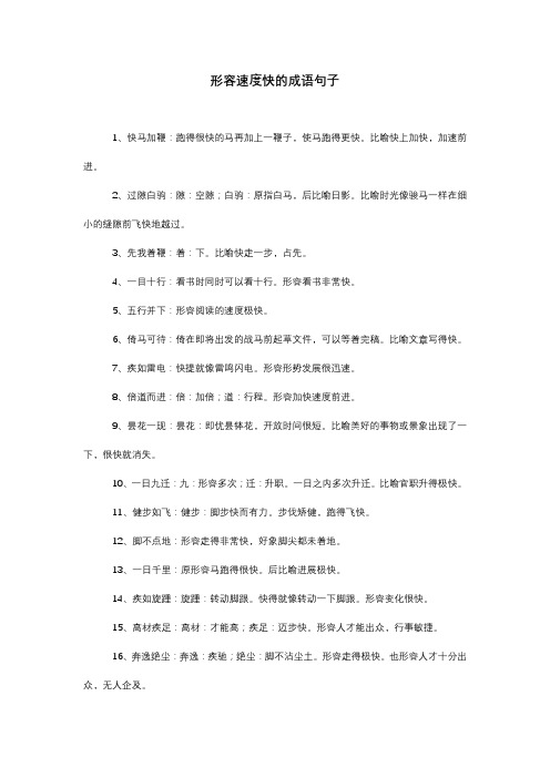 形容速度快的成语句子