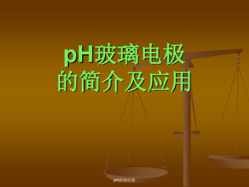 pH玻璃电极