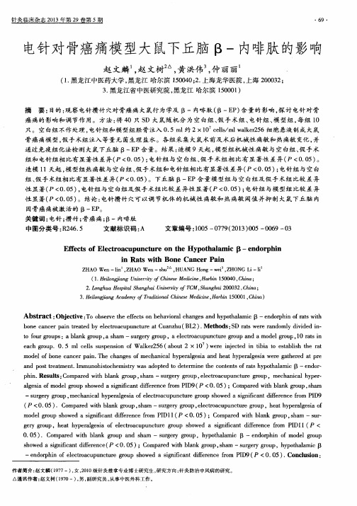 电针对骨癌痛模型大鼠下丘脑β-内啡肽的影响