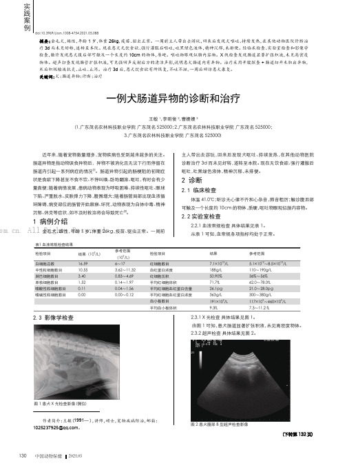 一例犬肠道异物的诊断和治疗