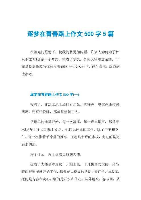 逐梦在青春路上作文500字5篇