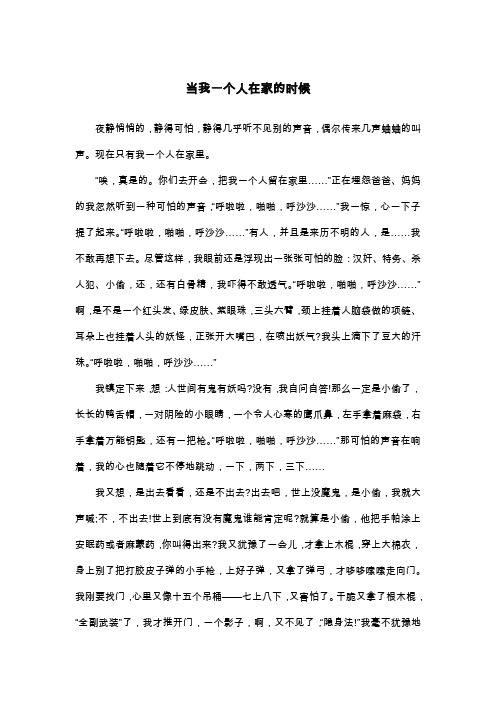 当我一个人在家的时候_五年级叙事作文