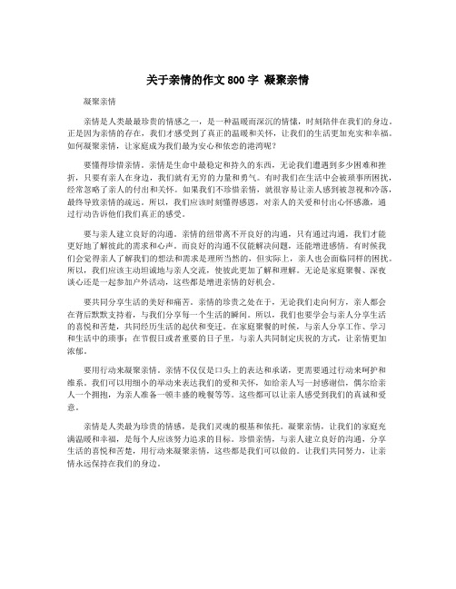 关于亲情的作文800字 凝聚亲情