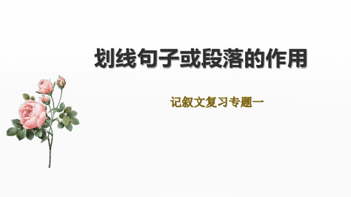 2023年中考一轮复习《记叙文复习之句子或段落作用》课件(共26张PPT) 