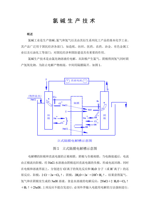 氯碱生产技术