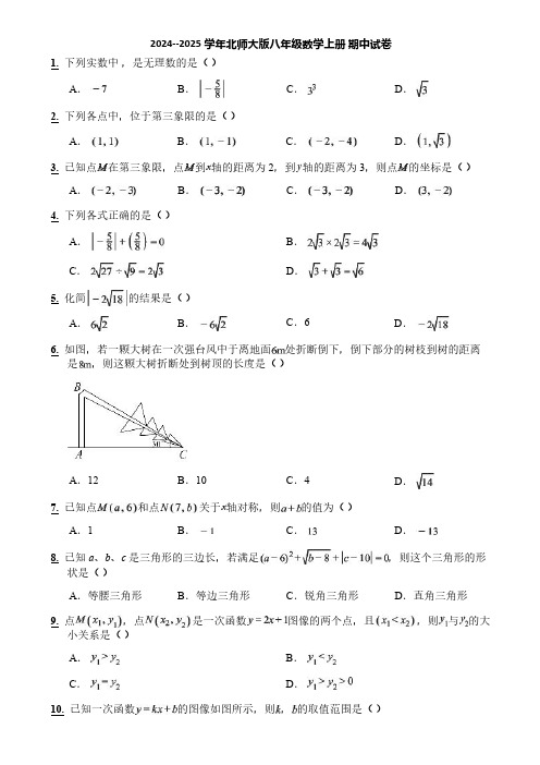 2024--2025学年北师大版八年级数学上册 期中试卷