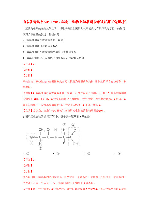 山东省青岛市2018_2019年高一生物上学期期末考试试题(含解析)