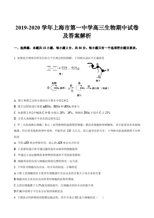 2019-2020学年上海市第一中学高三生物期中试卷及答案解析