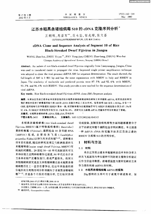 江苏水稻黑条矮缩病毒S10的cDNA克隆序列分析