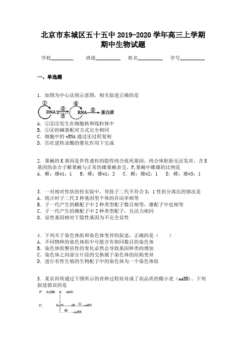 北京市东城区五十五中2019-2020学年高三上学期期中生物试题