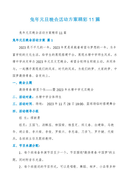 兔年元旦晚会活动方案精彩11篇