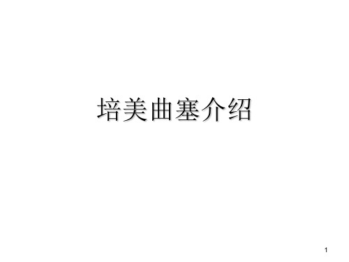 培美曲塞介绍