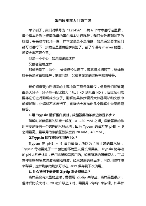 蛋白质组学入门第二弹