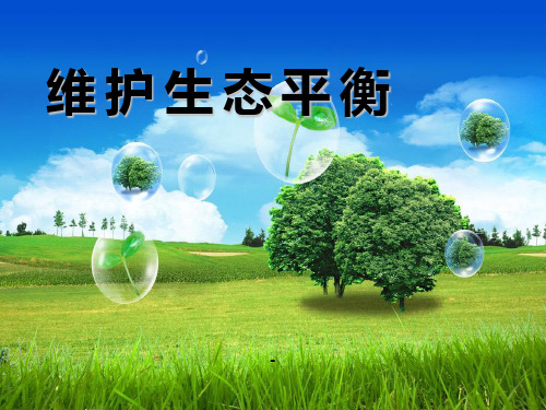 维护生态平衡-PPT课件 