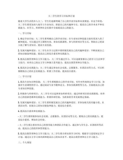 大二学生的学习目标和计划