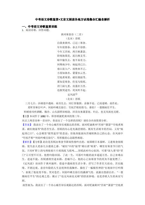 中考语文诗歌鉴赏+文言文阅读各地方试卷集合汇编含解析