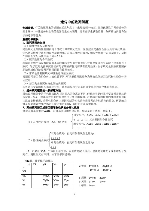 微专题四 遗传致死现象