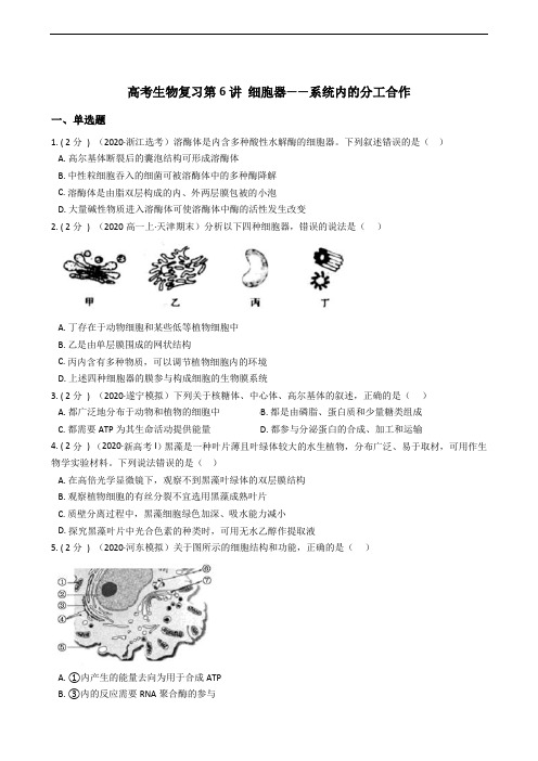 高考生物复习第6讲 细胞器——系统内的分工合作