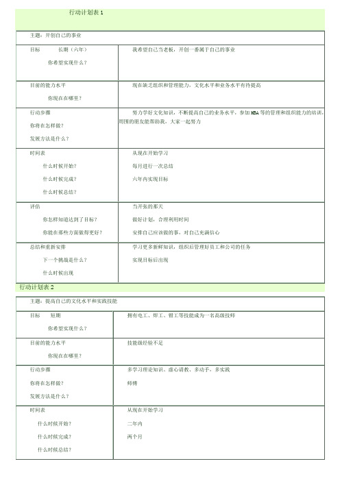 行动计划表