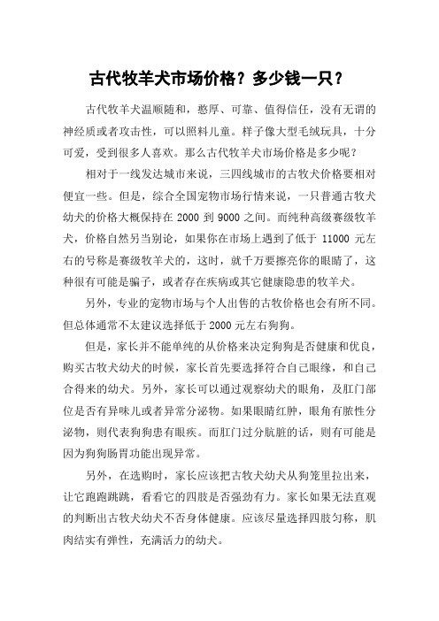 古代牧羊犬市场价格?多少钱一只?