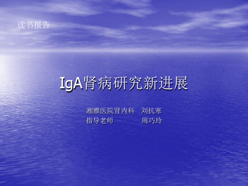 IgA肾病研究最新进展