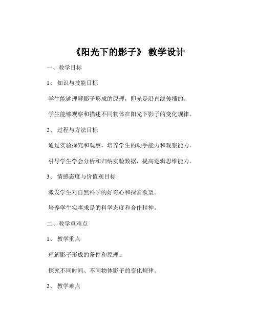 《阳光下的影子》 教学设计