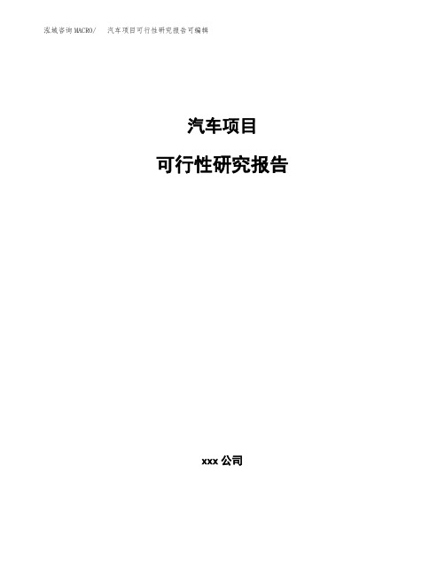 汽车项目可行性研究报告可编辑 (4)