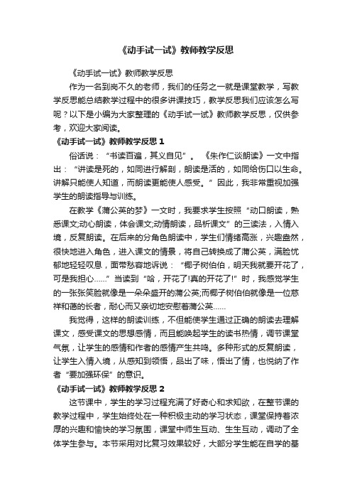 《动手试一试》教师教学反思