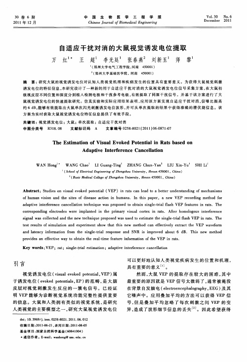 自适应干扰对消的大鼠视觉诱发电位提取