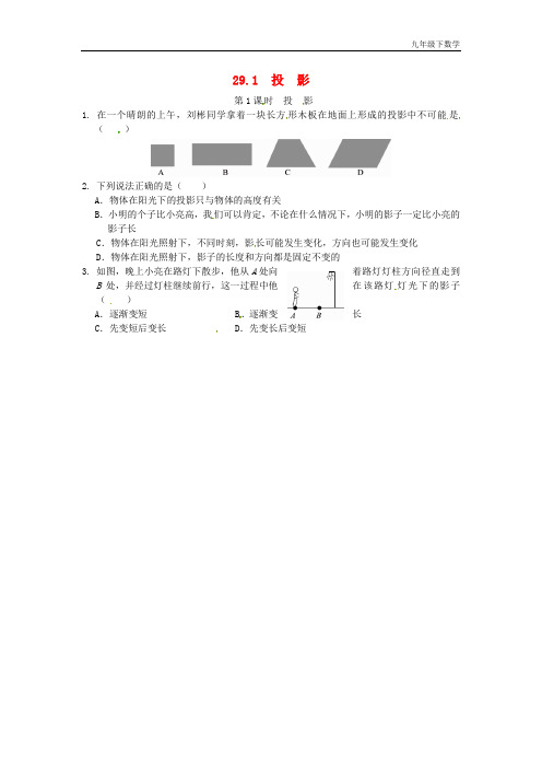 人教版九年级下数学同步练习29.1 投影同步练习2 新人教版