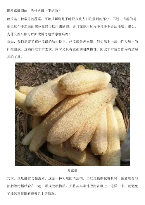 用丝瓜瓤刷碗,为什么瓤上不沾油？