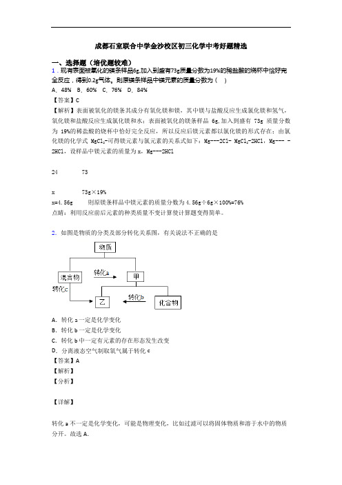 成都石室联合中学金沙校区初三化学中考好题精选