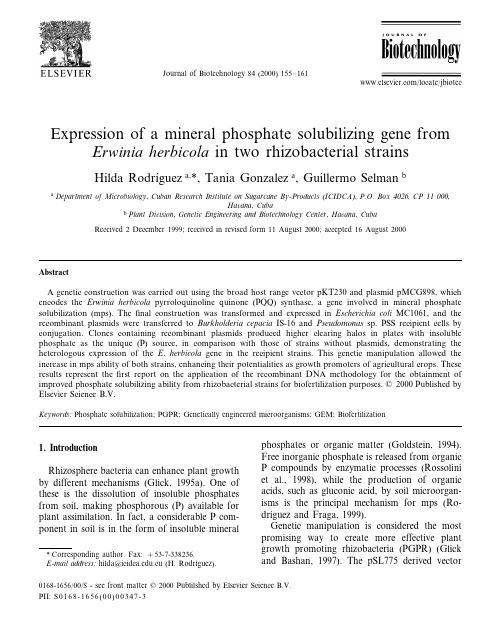 Expression of a mineral phosphate solubilizing gene from