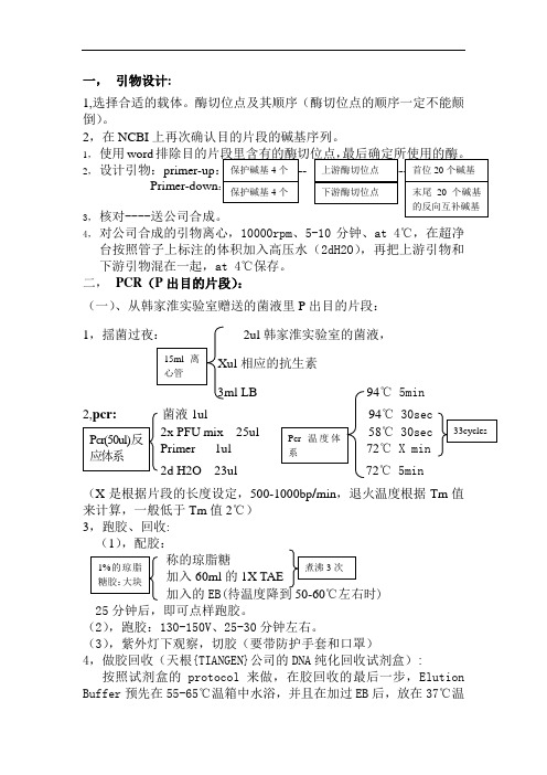 质粒构建-protocol