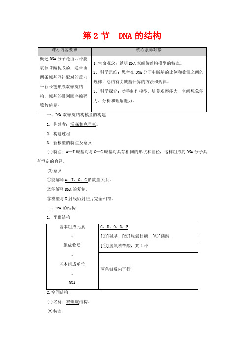 高中生物 第3章 基因的本质 第2节 DNA的结构教案 新人教版必修2-新人教版高中必修2生物教案