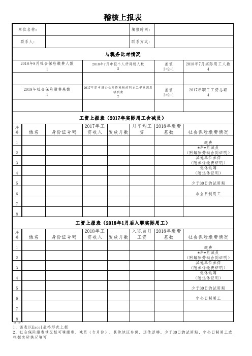 社保稽核上报表