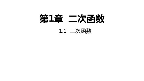 湘教版数学九年级下册1.1二次函数课件