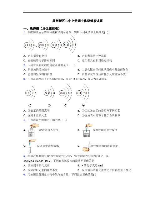 苏州新区二中上册期中初三化学模拟试题