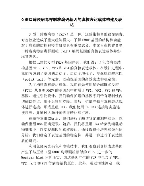 O型口蹄疫病毒样颗粒编码基因的真核表达载体构建及表达