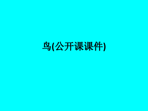 鸟(公开课课件)