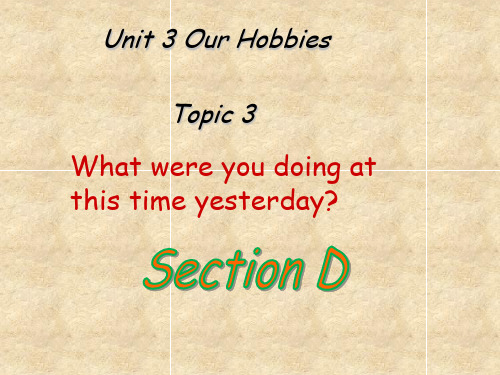 仁爱版八年级英语上册 Unit 3 Topic 3 Section D 课件(共21张PPT)