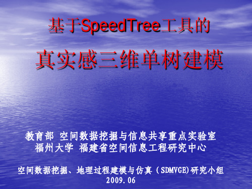 基于SpeedTree工具的