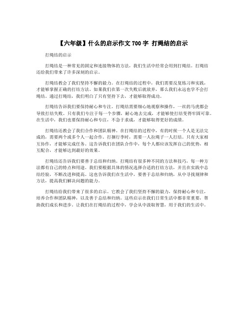 【六年级】什么的启示作文700字 打绳结的启示