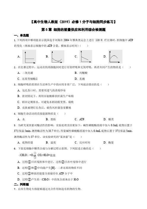 【高中生物人教版(2019)必修1同步练习】第5章 细胞的能量供应和利用综合检测题(含答案)